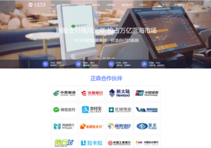 刷脸支付公司建站案例！